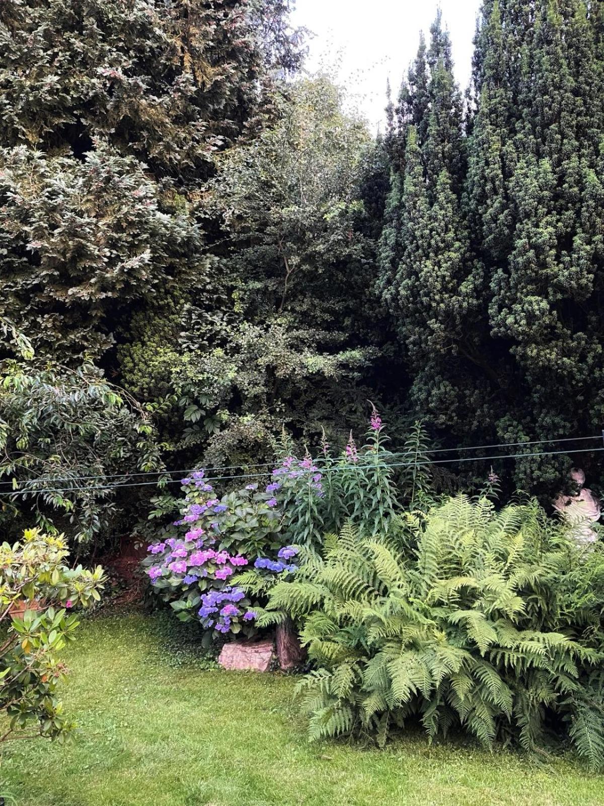 Apartment Wald & Wiesen Im Bergischen Land - Urlaub, Koeln, Messe & Geschaeftsreise Bergisch Gladbach