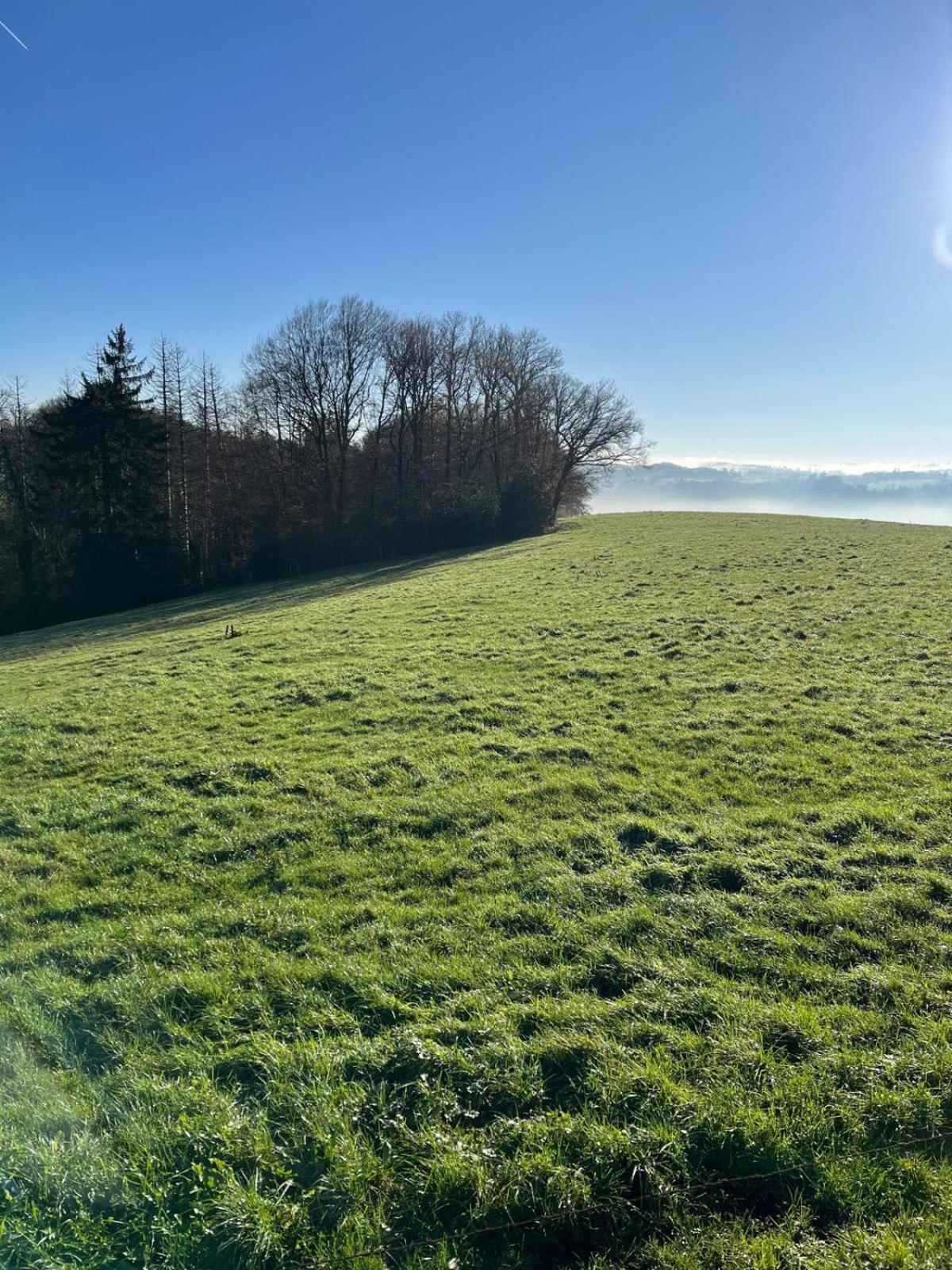 Wald & Wiesen Im Bergischen Land - Urlaub, Koeln, Messe & Geschaeftsreise Bergisch Gladbach