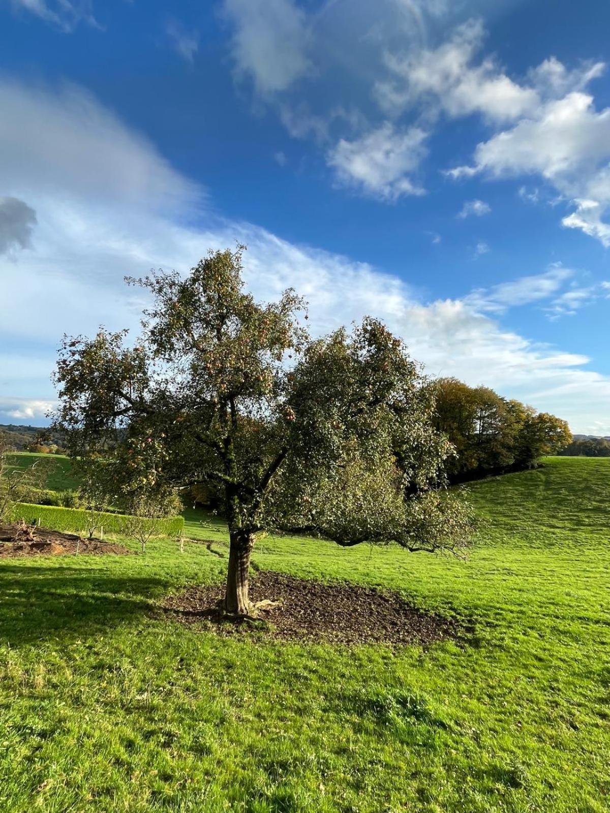 Wald & Wiesen Im Bergischen Land - Urlaub, Koeln, Messe & Geschaeftsreise Bergisch Gladbach